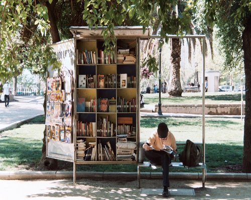 Persona relajada leyendo un libro en un parque
